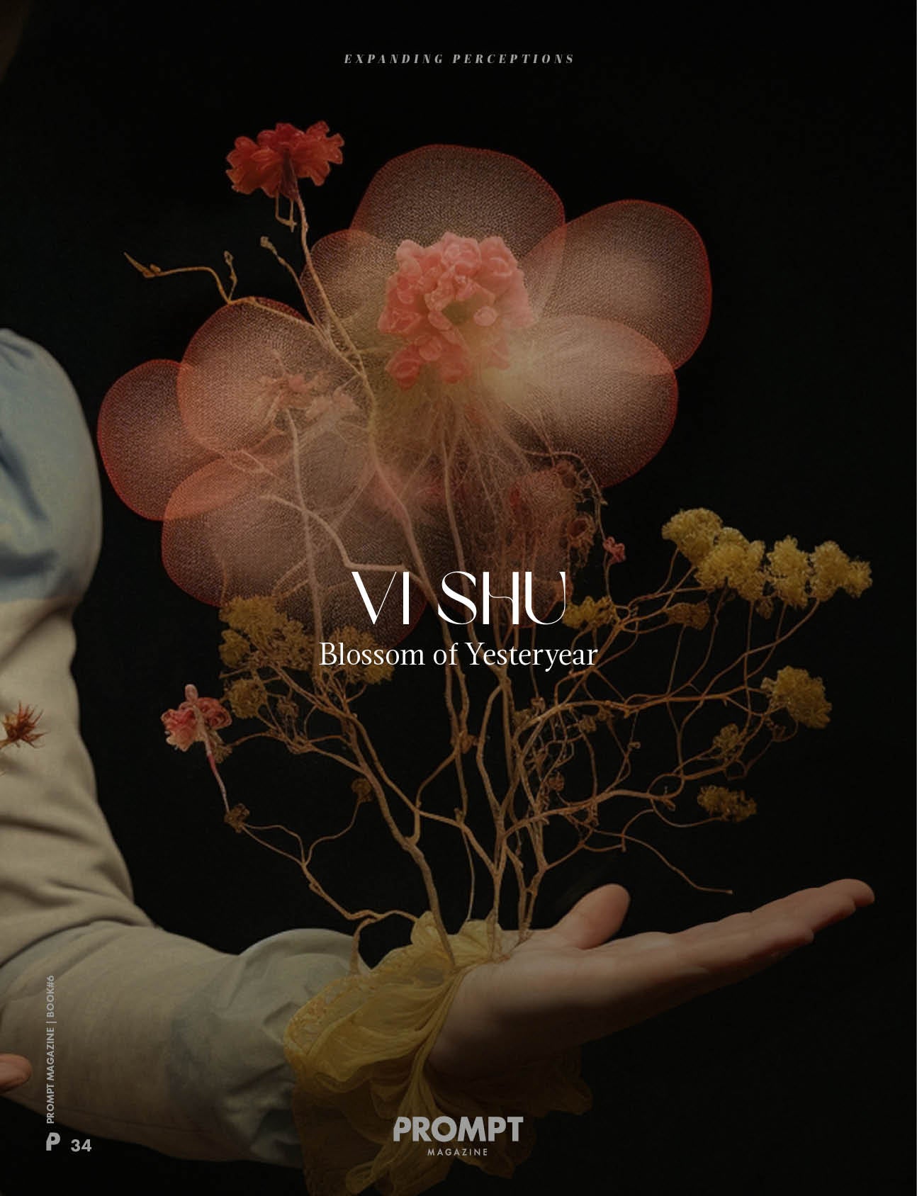 PROMPT MAGAZINE Issue 6: EXPANDING PERCEPTIONS