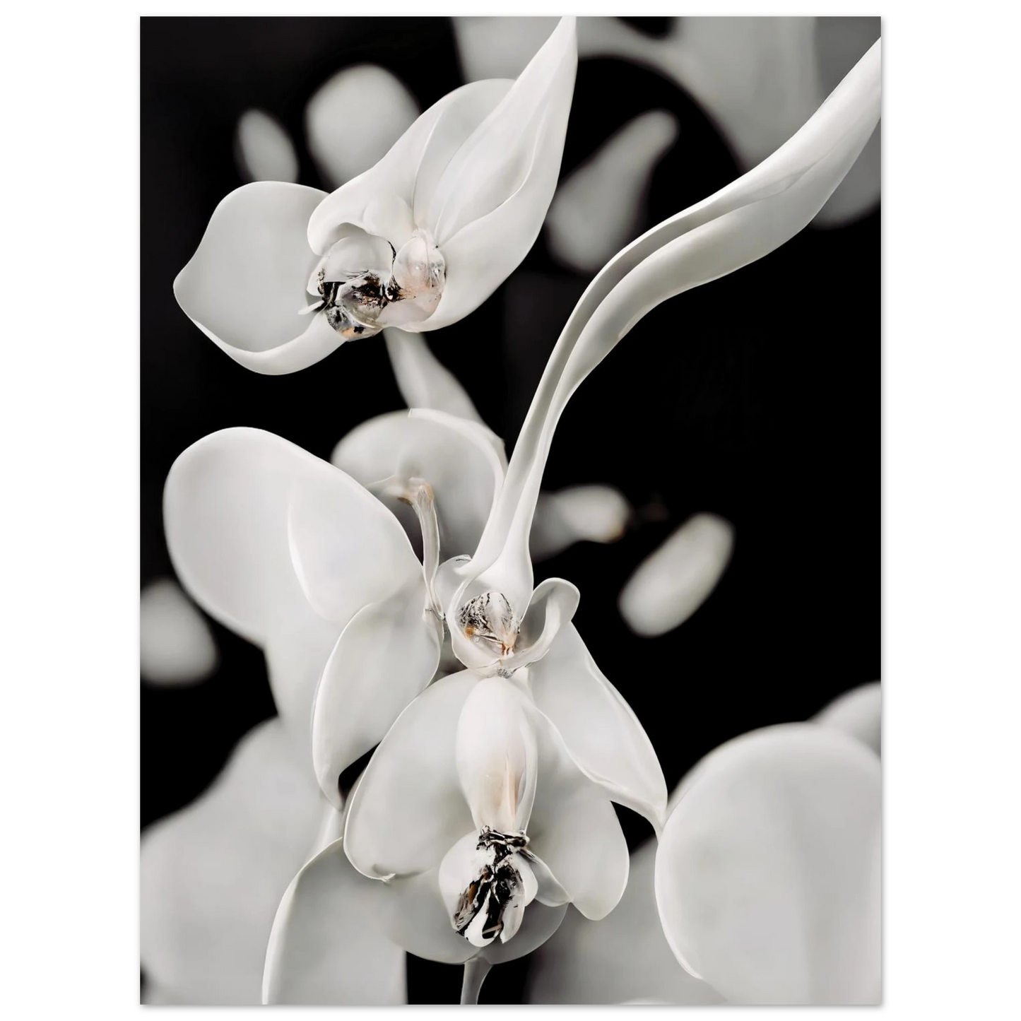 f86ab19a-c292-4398-bfef-d565fe43bd65