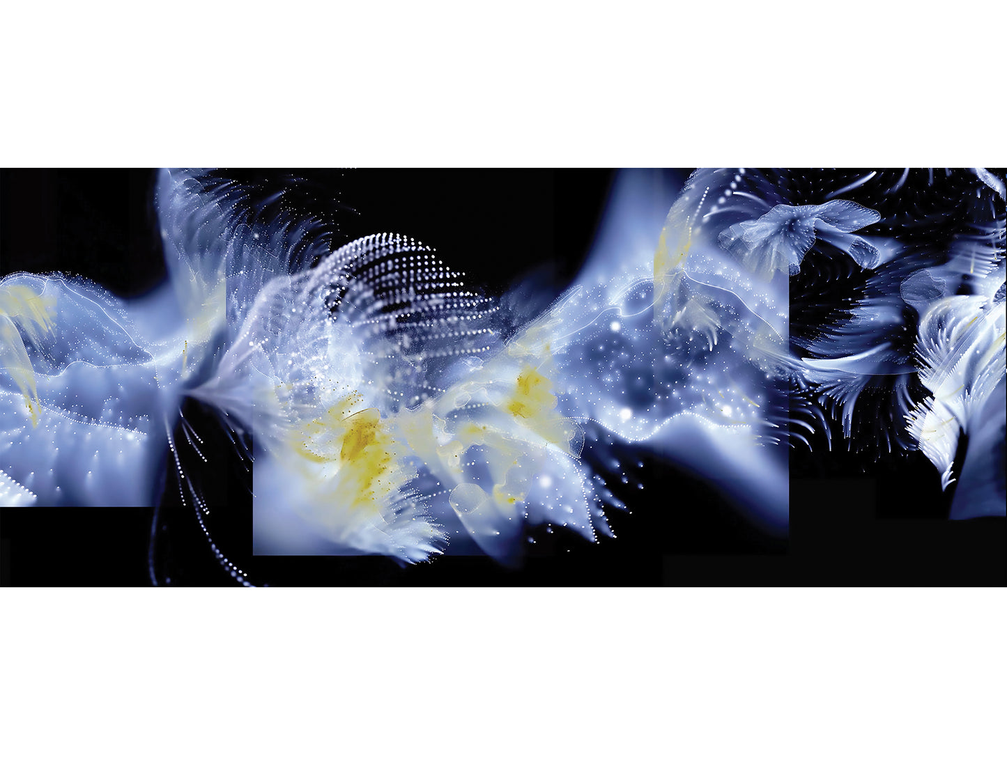 Weidi Zhang | Wayfarer -2 | Limited Edition Print | 10 Edition